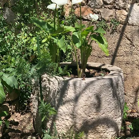 Libertas Dubrovník