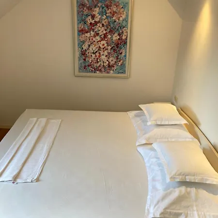 Casa de hóspedes Libertas